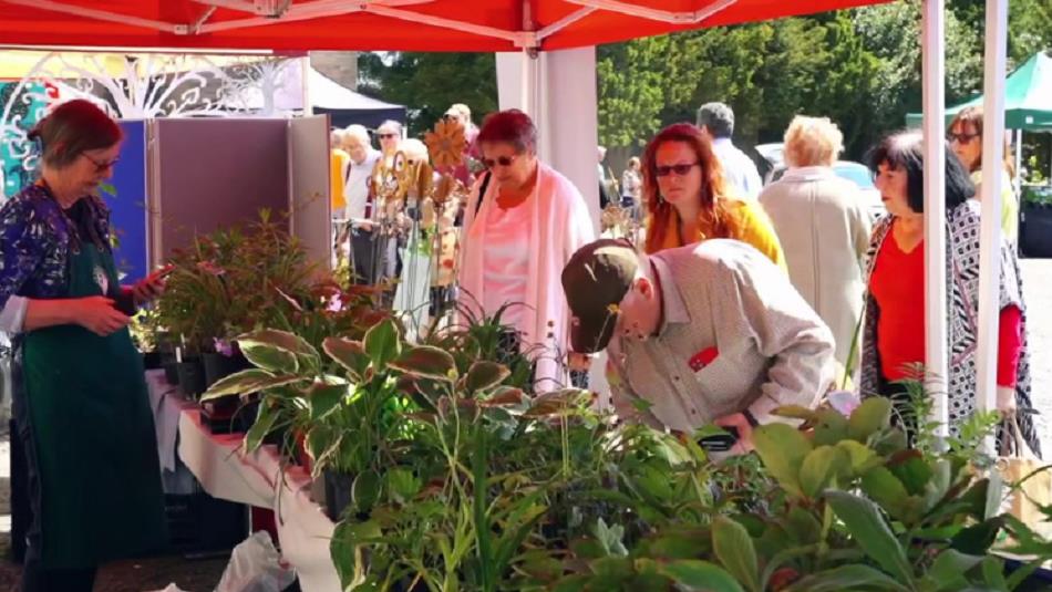 People admiring a variety of plants at Ushaw's Special Plant and Garden Fair