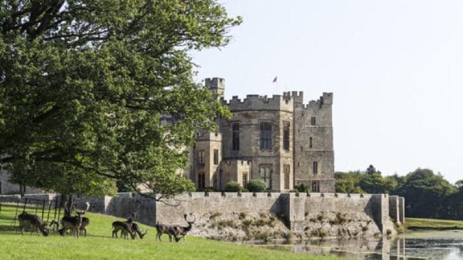 Image of a deer at Raby Castle.