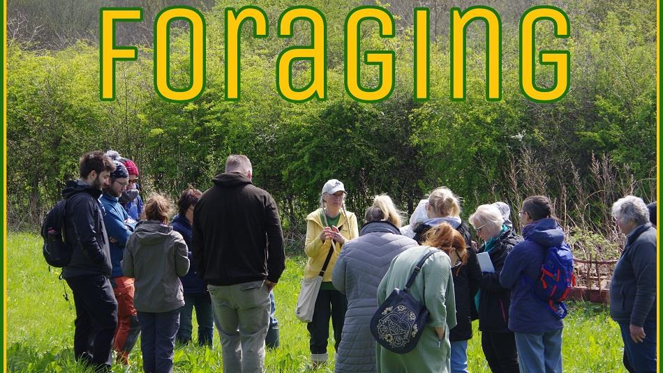 Group of people on a foraging walk at Dalton Moor Farm