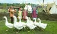 group of children dressed in Anglo-Saxon clothing stood watching a flock of Geese in the Viking Village at Kynren.