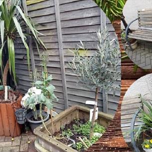 Wooden garden bench, plants in pots, garden fence