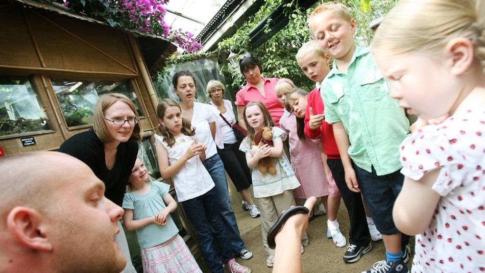 A man showing a giant millipede to a group of women and children.