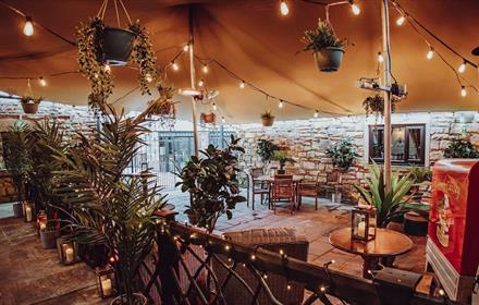 Image of cosy dining space furnished with plants, fairy lights and candles.