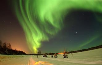 Aurora Night, image of the Northern Lights above a frosty landscape