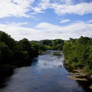River and Woodland in Barnard Castle