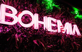 Bohemia neon light