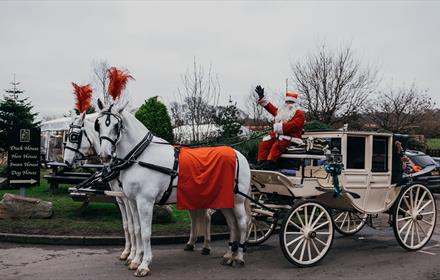 Image of horse and carriage rides, with Santa at the reigns, at South Causey Inn.