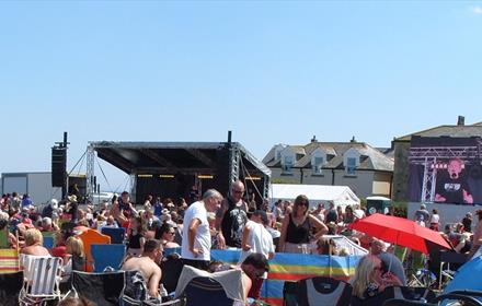 Crowd enjoying performances at Seaham Carnival on a sunny day by the sea.