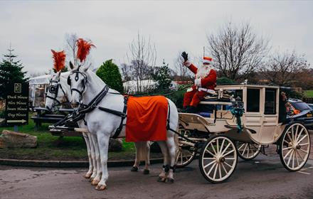 Image of festive horse drawn carriages and Santa at the reins - South Causey Inn.