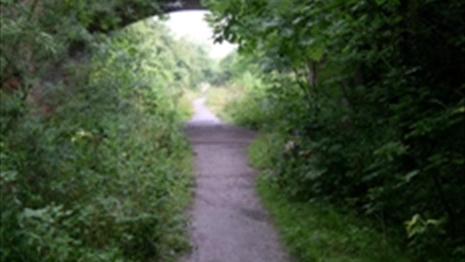 Cycle Path at Castle Eden