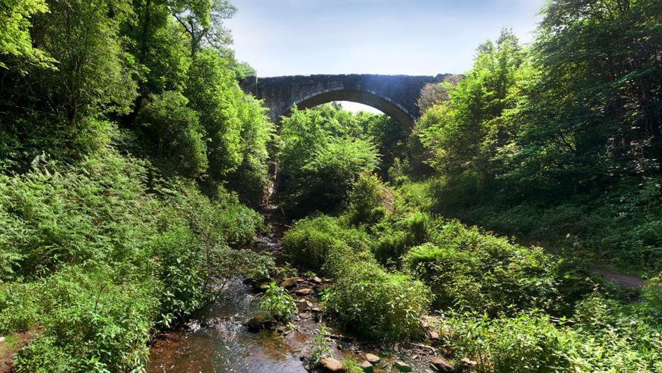 Causey Arch and Picnic Area