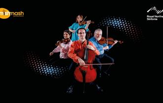 Photo of four musicians in Royal Northern Sinfonia playing string instruments.