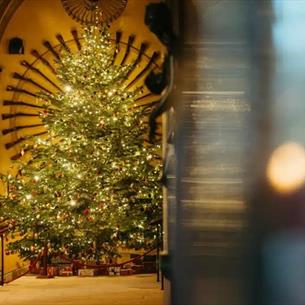 Large Christmas Tree at Raby Castle