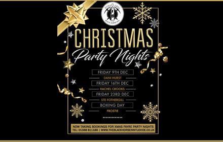 Christmas party night poster dates written in black and gold