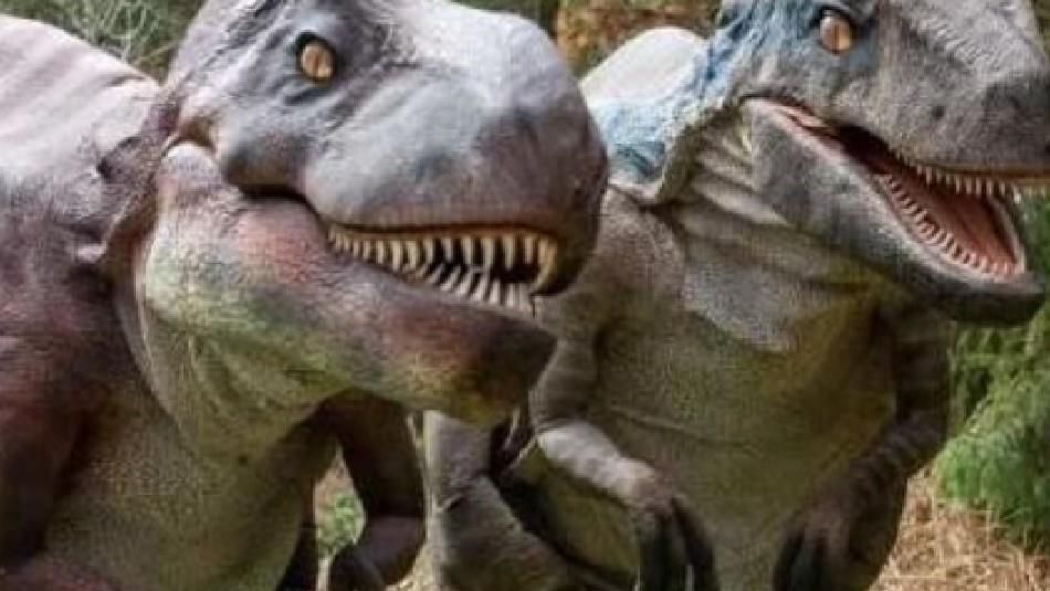 T-Rex dinosaurs at Adventure Valley