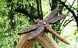 Carved wooden sculpture depicting a Dragonfly