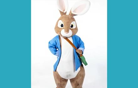 Someone dressed in costume as Peter Rabbit