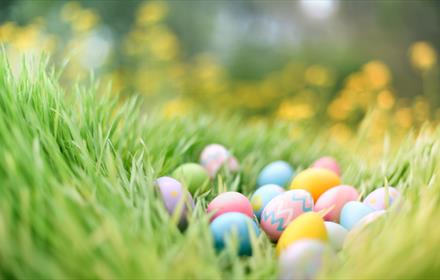 Colourful eggs in grass for Easter Egg Hunt