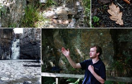 International Day of Education - Guided Walk. Images of Andy, the Estate Ranger, amongst the beautiful woodland surrounding Hight Force Waterfall.