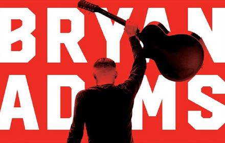 Bryan Adams Poster: Silhouette of Bryan Adams raising a guitar above his head