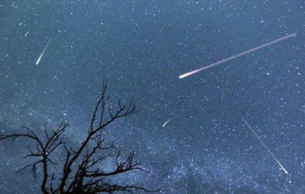 Meteor shower in the night sky
