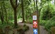 Signpost to trails in forest