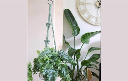 Example of a hanging Macrame plant pot holder