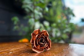 Image of a copper rose.