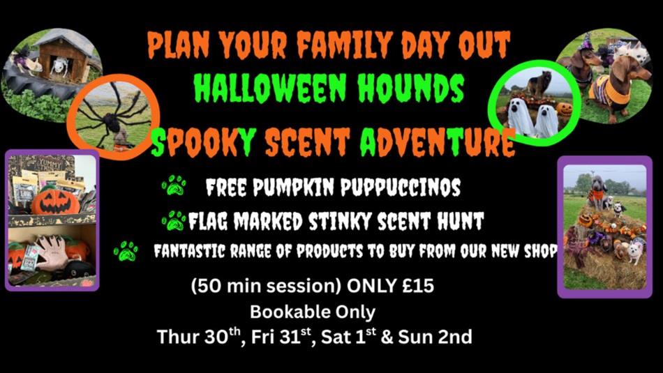 What to Expect during your Halloween Hounds Spooky Scent Hunt. This year we have some fantastic photo opportunities and scent hunts. What to Expect during your Halloween Hounds Spooky Scent Hunt. This year we have some fantastic photo opportunities and scent hunts.