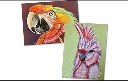 Two colourful soft pastel drawings of parrots.