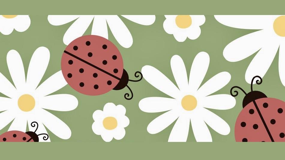 Cartoon image of ladybirds and daisies on a green background.