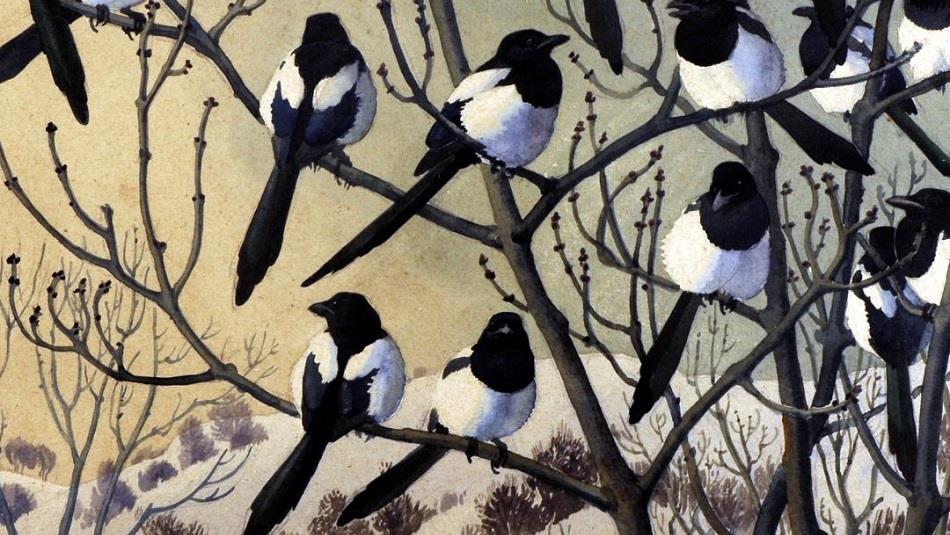 Magpies perched on tree branches in winter, snowy hillside in background - illustration