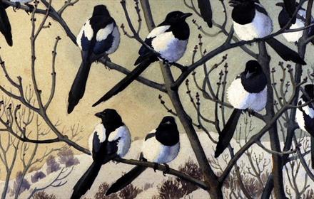 Magpies perched on tree branches in winter, snowy hillside in background - illustration