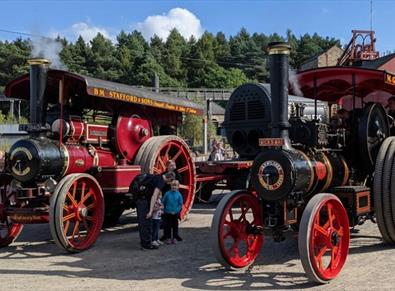 Steam Gala at Beamish Museum. Image of steam traction engines