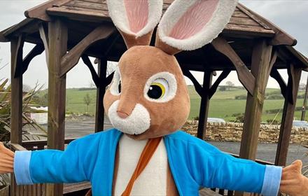 Person dressed in costume as Peter Rabbit, in front of wooden pavilion. Countryside in background.