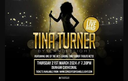 Advertising poster or event showing silhouette image of Tina Turner tribute act along with details of event