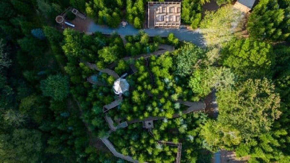 Drone Footage of the Plotters' Forest at Raby Castle.