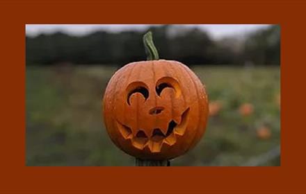 Pumpkin with carved face in a field