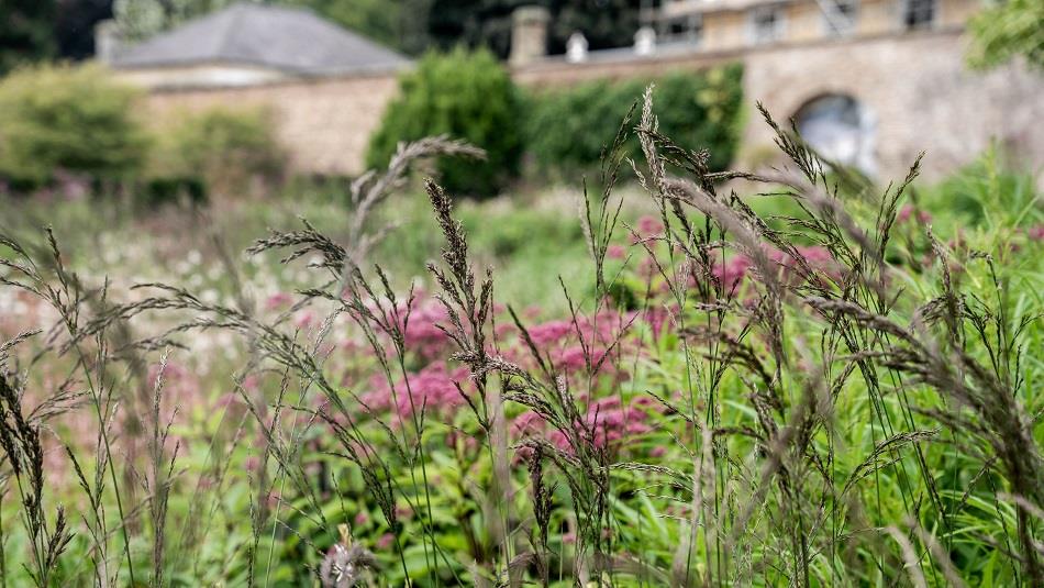 Raby Castle Restoring The Balance: A Women's Retreat. Flowers and wild grasses