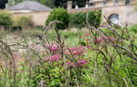 Raby Castle Restoring The Balance: A Women's Retreat. Flowers and wild grasses