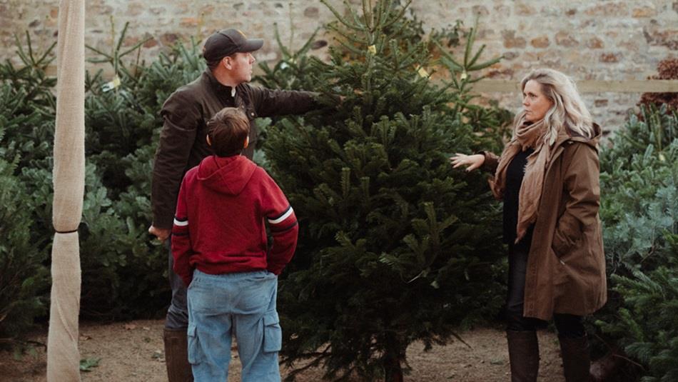 Two men and a woman looking at one of the Christmas Trees for sale at Raby Castle Two men and a woman looking at one of the Christmas Trees for sale at Raby Castle
