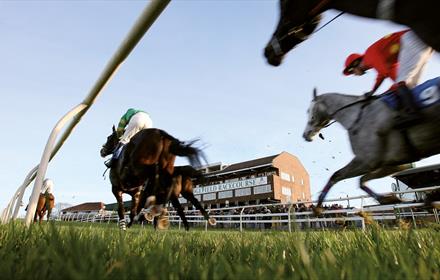 Horse racing at Sedgefield Racecourse.