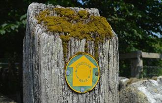 Yellow and green waymarker with yellow arrow and green words stating circular walk. Waymarker on moss-covered wood post.