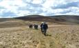 Shepherds Walks walking tours and holidays