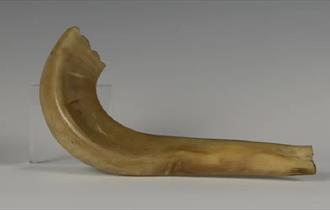 Jewish Shofar Horn