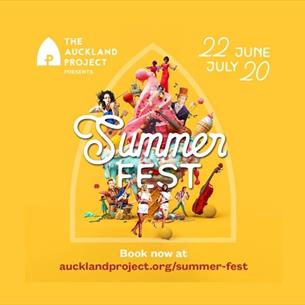 Summer Fest advertising poster showing date of event and images of acts taking part