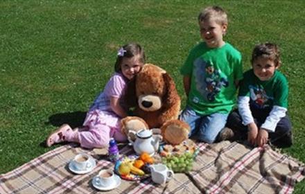 Three children enjoying a picnic outdoors in the sun with a teddy bear, with cups of tea, fruit and treats.