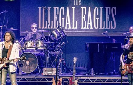 Image of the 'Illegal Eagles' performing on stage.