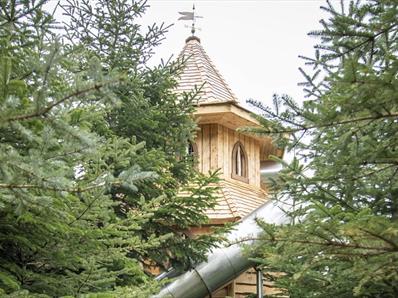 Wooden tower and slide through the trees.
