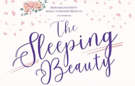 The Sleeping Beauty in purple text. Rose graphic with falling rose petals